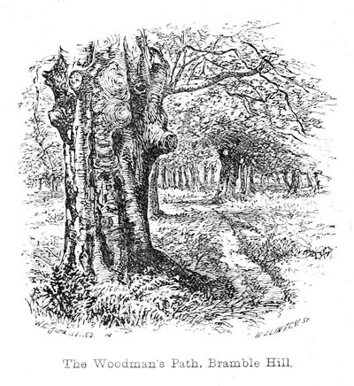 The Woodman